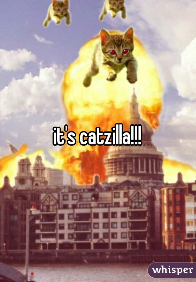 it's catzilla!!!