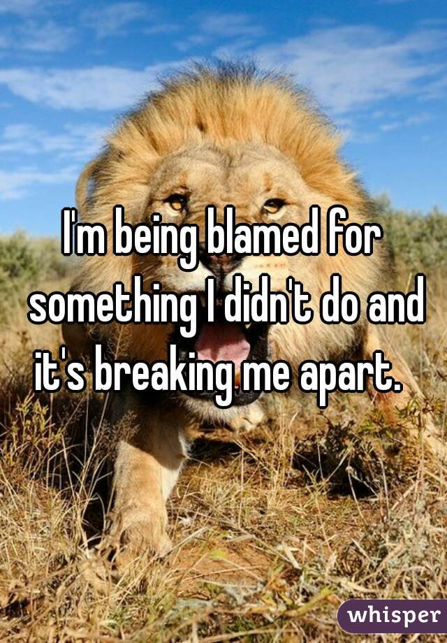 I'm being blamed for something I didn't do and it's breaking me apart.  