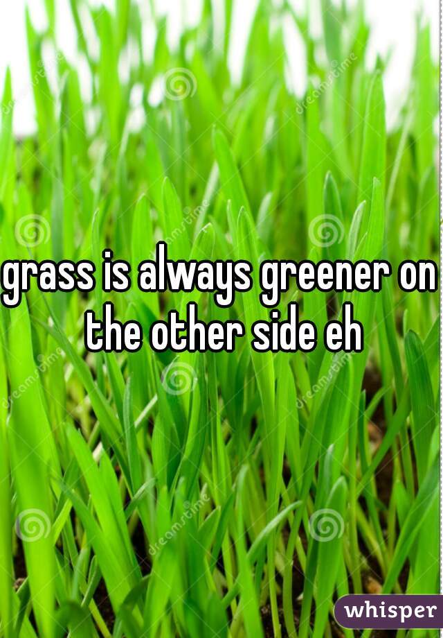 grass is always greener on the other side eh