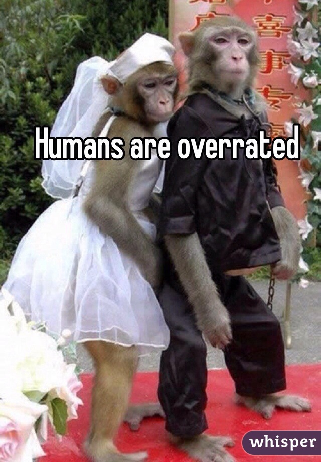 Humans are overrated