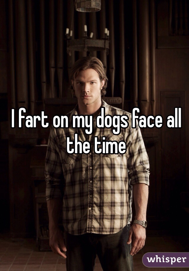 I fart on my dogs face all the time