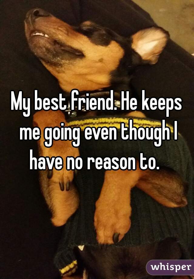 My best friend. He keeps me going even though I have no reason to.  