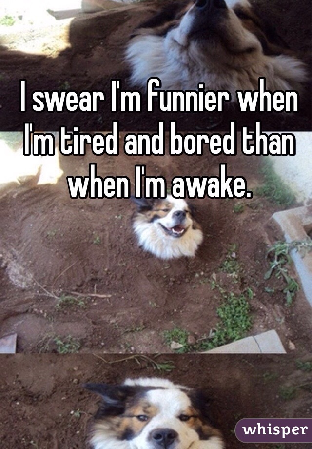 I swear I'm funnier when I'm tired and bored than when I'm awake.  