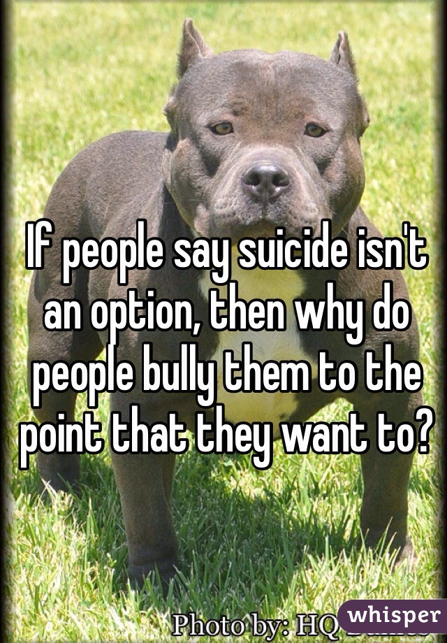 If people say suicide isn't an option, then why do people bully them to the point that they want to? 