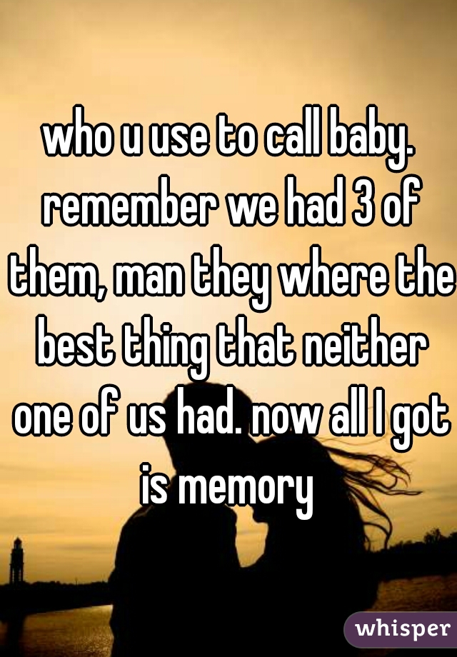 who u use to call baby. remember we had 3 of them, man they where the best thing that neither one of us had. now all I got is memory 