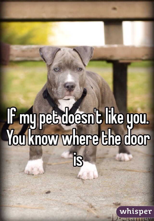 If my pet doesn't like you. You know where the door is  