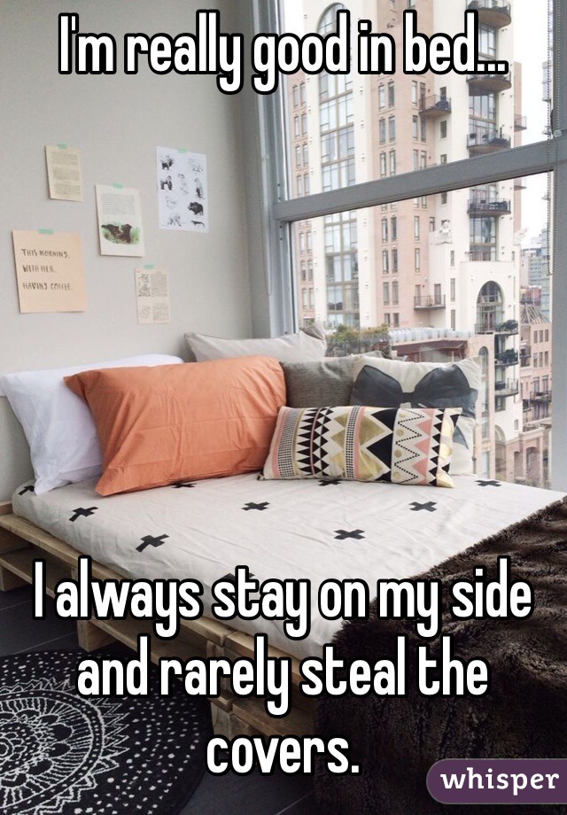 I'm really good in bed... 






I always stay on my side and rarely steal the covers.