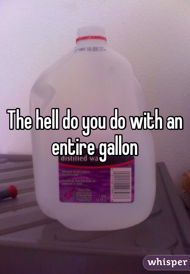 The hell do you do with an entire gallon