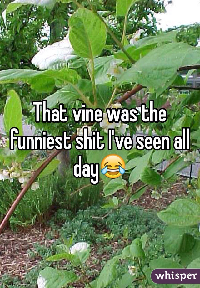 That vine was the funniest shit I've seen all day😂