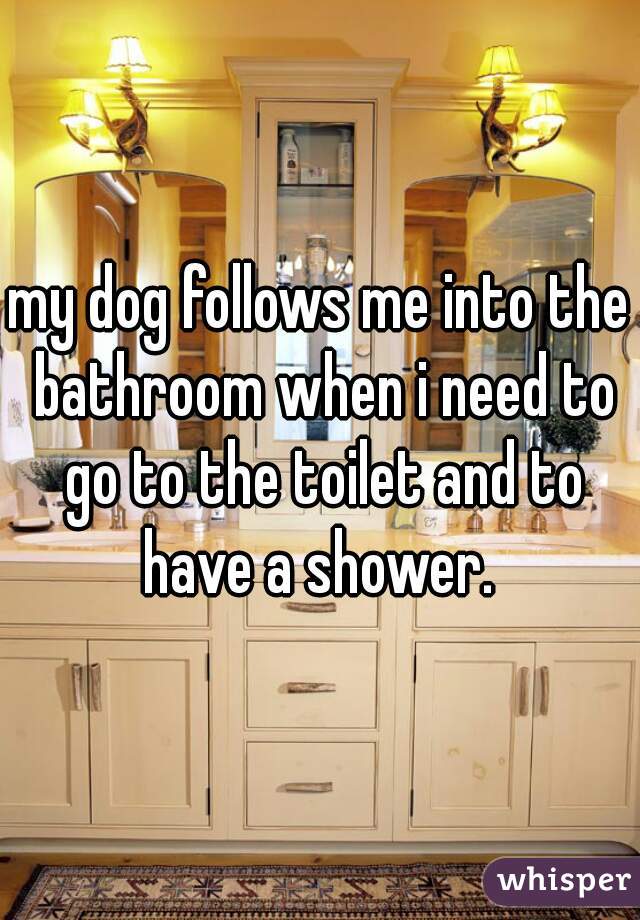 my dog follows me into the bathroom when i need to go to the toilet and to have a shower. 