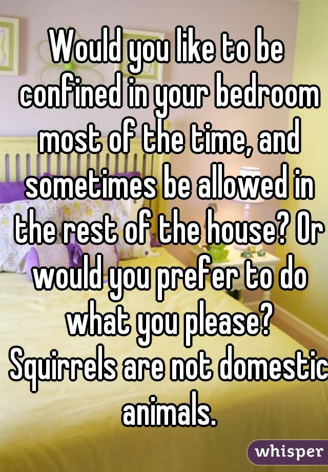 Would you like to be confined in your bedroom most of the time, and sometimes be allowed in the rest of the house? Or would you prefer to do what you please? Squirrels are not domestic animals.