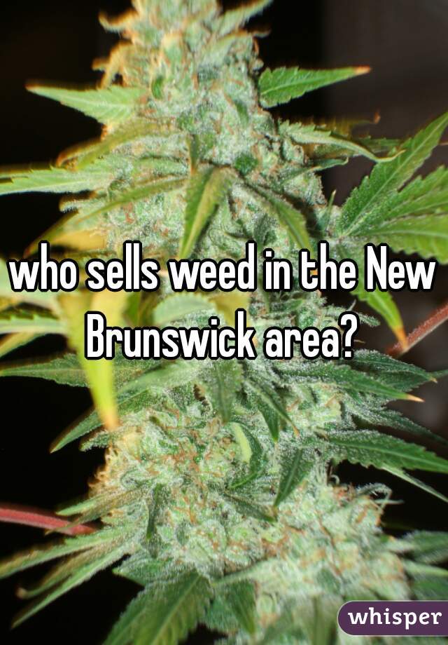who sells weed in the New Brunswick area? 