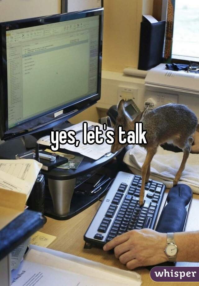 yes, let's talk