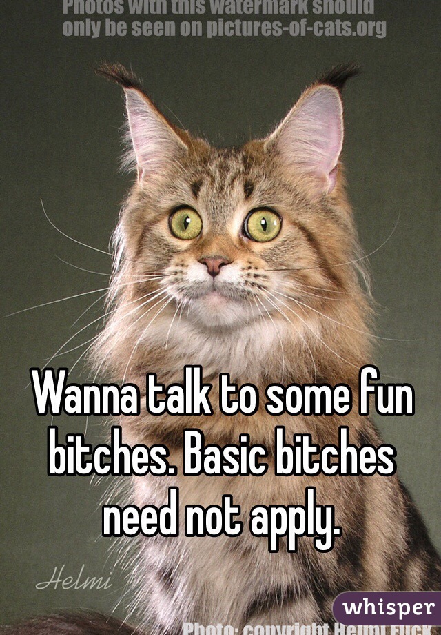 Wanna talk to some fun bitches. Basic bitches need not apply. 
