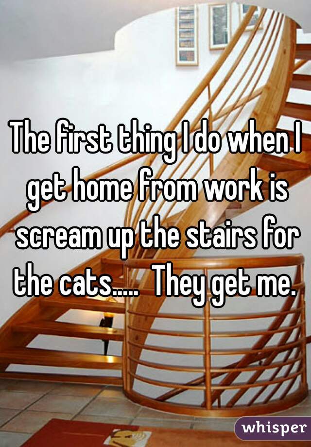 The first thing I do when I get home from work is scream up the stairs for the cats.....  They get me. 
