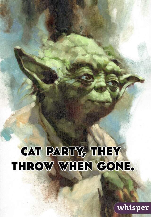 cat party, they throw when gone.