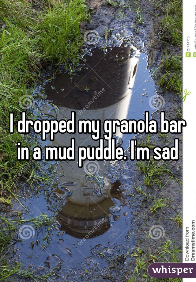 I dropped my granola bar in a mud puddle. I'm sad