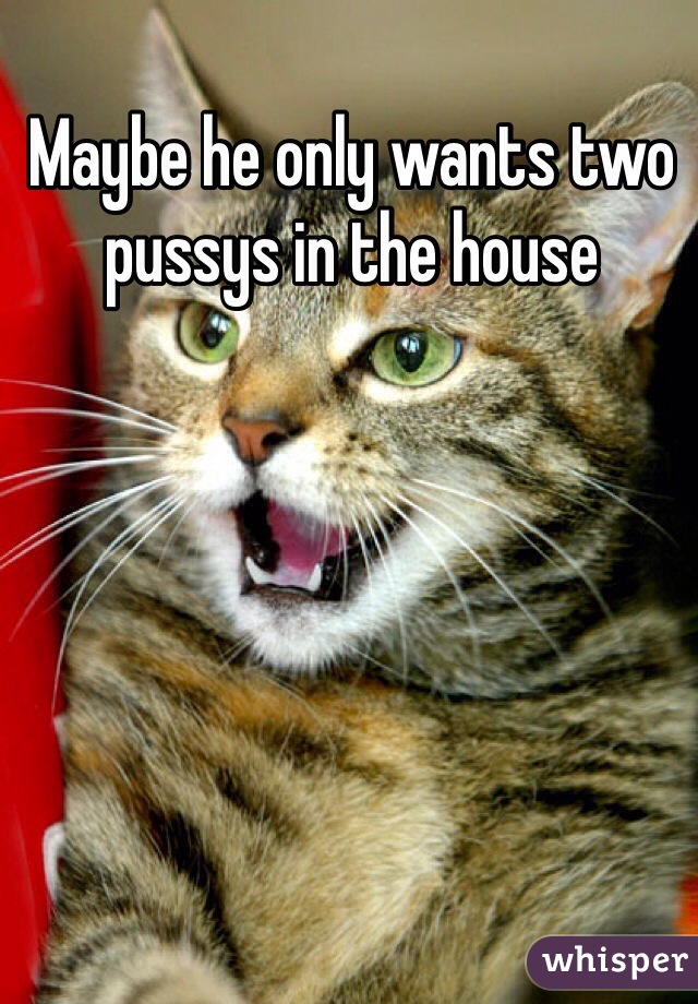 Maybe he only wants two pussys in the house 