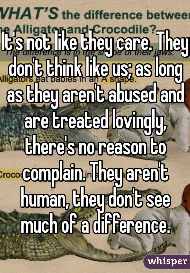 It's not like they care. They don't think like us; as long as they aren't abused and are treated lovingly, there's no reason to complain. They aren't human, they don't see much of a difference.