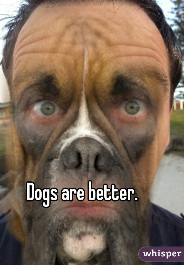 Dogs are better.  