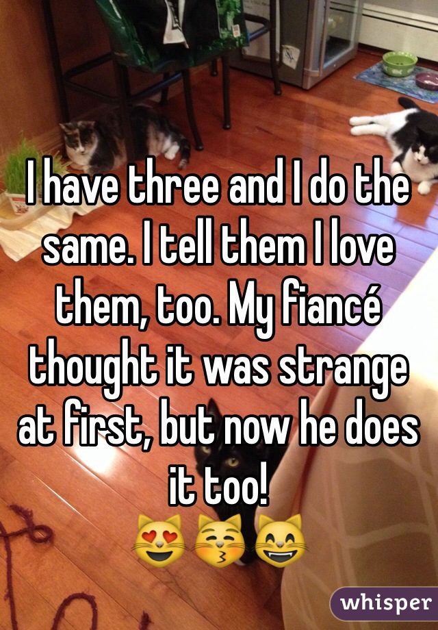I have three and I do the same. I tell them I love them, too. My fiancé thought it was strange at first, but now he does it too!
😻😽😸