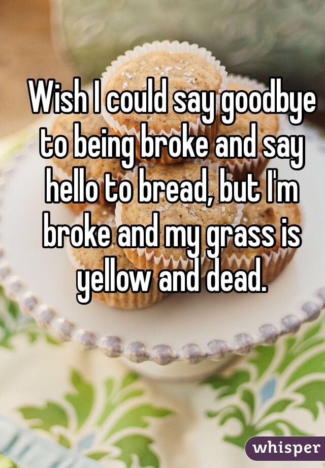 Wish I could say goodbye to being broke and say hello to bread, but I'm broke and my grass is yellow and dead.