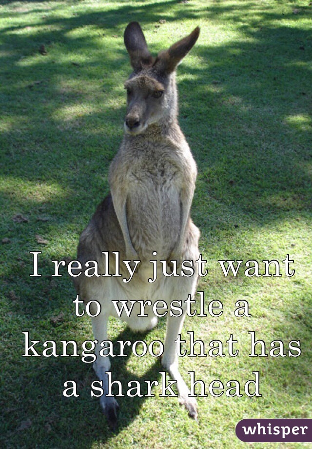 I really just want to wrestle a kangaroo that has a shark head

