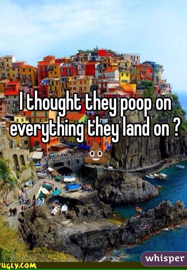 I thought they poop on everything they land on ?💩