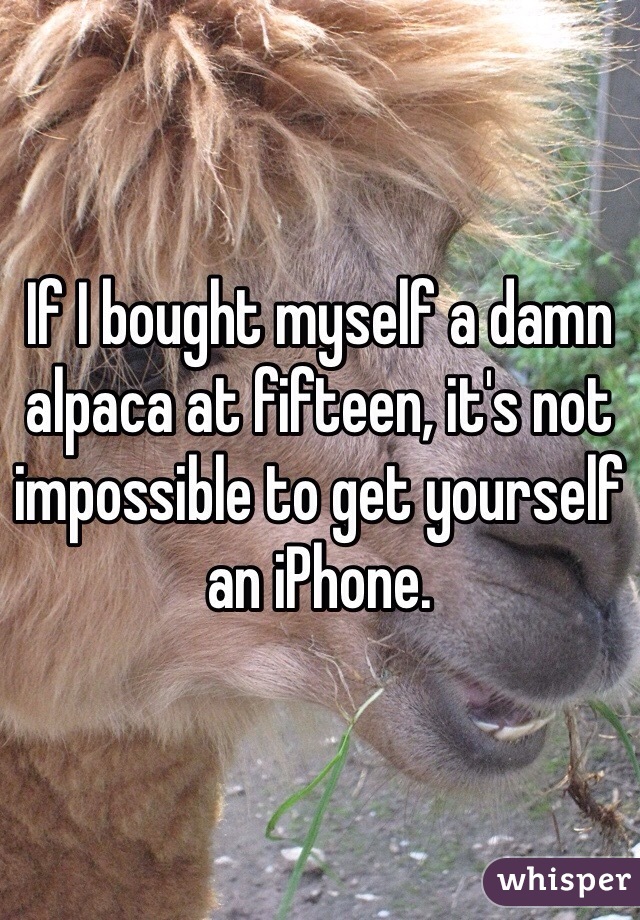 If I bought myself a damn alpaca at fifteen, it's not impossible to get yourself an iPhone. 