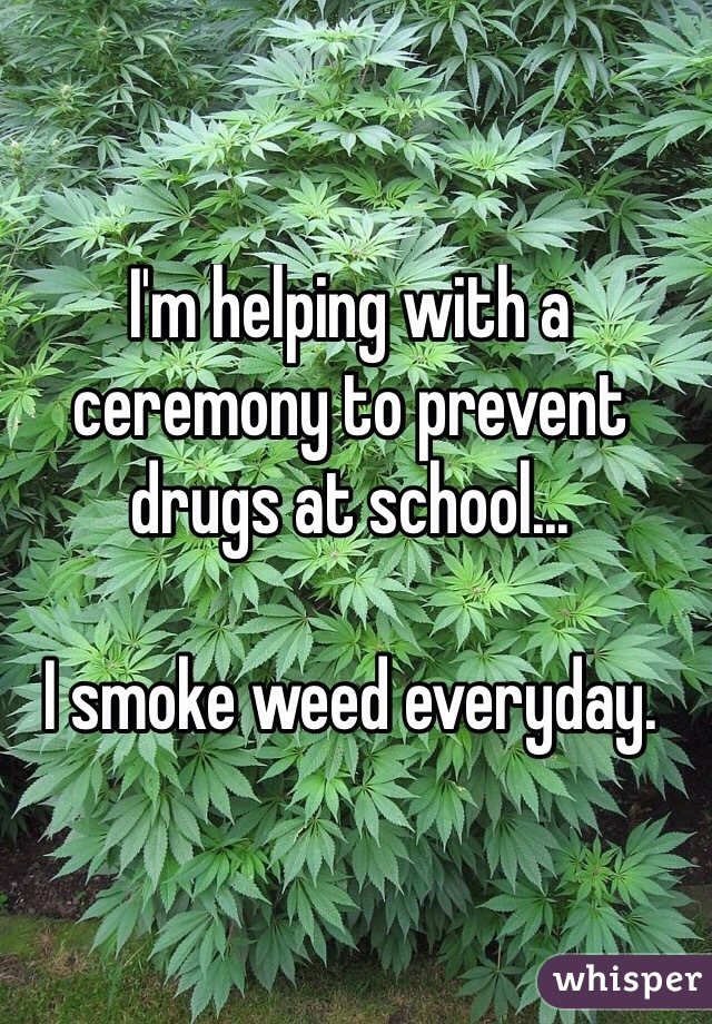 I'm helping with a ceremony to prevent drugs at school...

I smoke weed everyday. 
