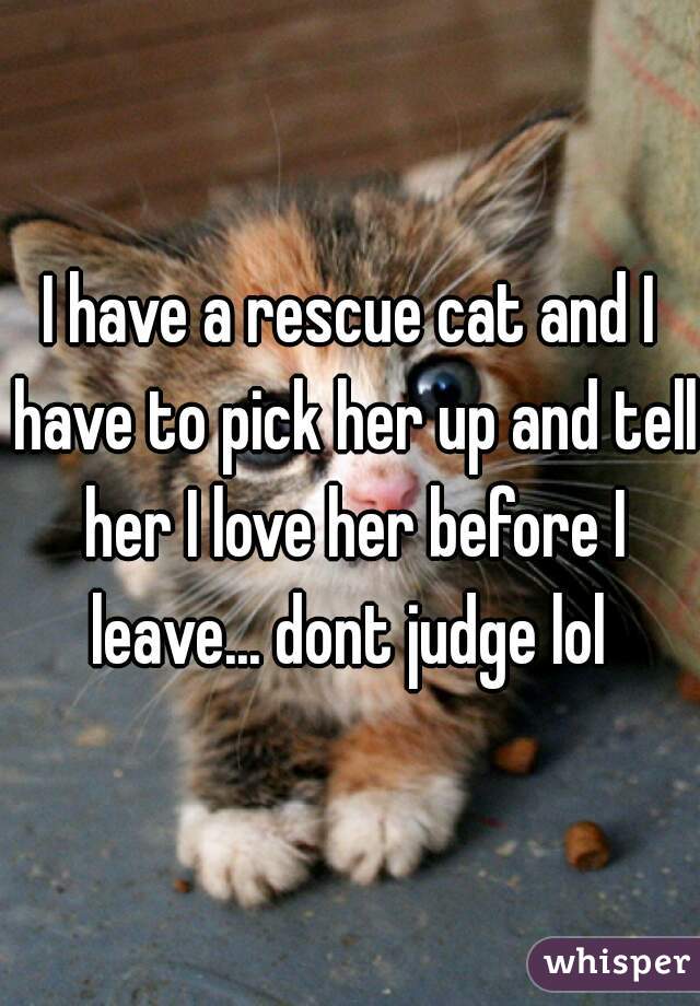 I have a rescue cat and I have to pick her up and tell her I love her before I leave... dont judge lol 