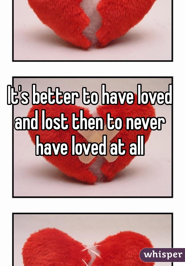 It's better to have loved and lost then to never have loved at all