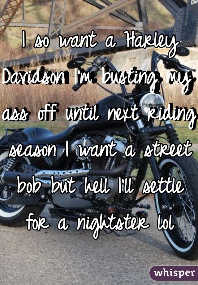 I so want a Harley Davidson I'm busting my ass off until next riding season I want a street bob but hell I'll settle for a nightster lol