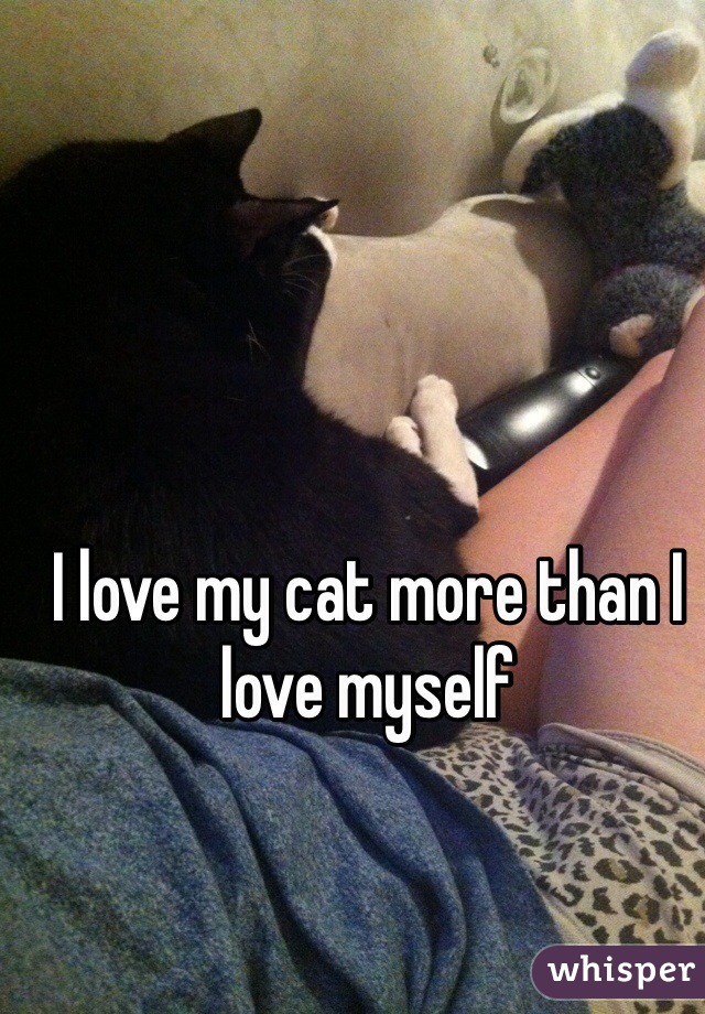 I love my cat more than I love myself