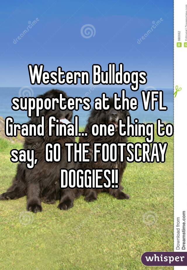 Western Bulldogs supporters at the VFL Grand final... one thing to say,  GO THE FOOTSCRAY DOGGIES!!