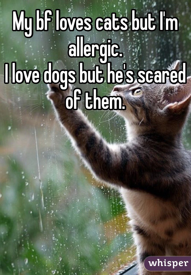 My bf loves cats but I'm allergic. 
I love dogs but he's scared of them.


