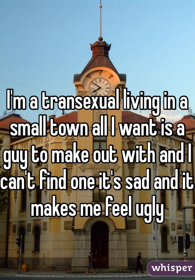 I'm a transexual living in a small town all I want is a guy to make out with and I can't find one it's sad and it makes me feel ugly 