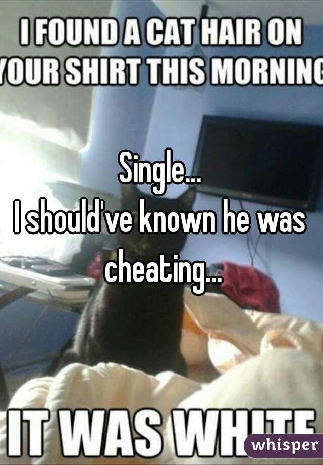Single...

I should've known he was cheating...