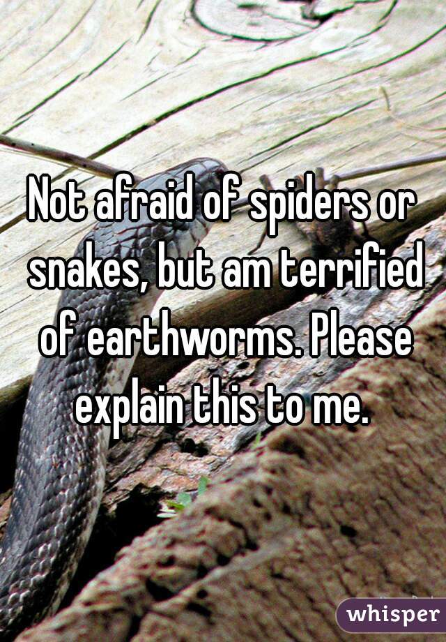 Not afraid of spiders or snakes, but am terrified of earthworms. Please explain this to me. 