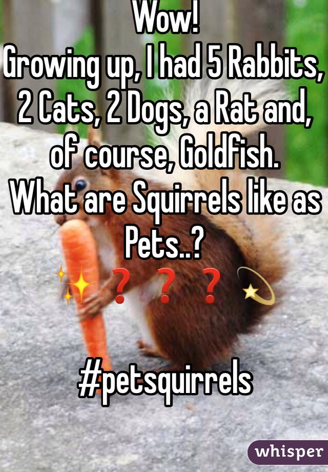 Wow! 
Growing up, I had 5 Rabbits, 2 Cats, 2 Dogs, a Rat and, of course, Goldfish. 
What are Squirrels like as Pets..? 
✨❓❓❓💫 

#petsquirrels 
