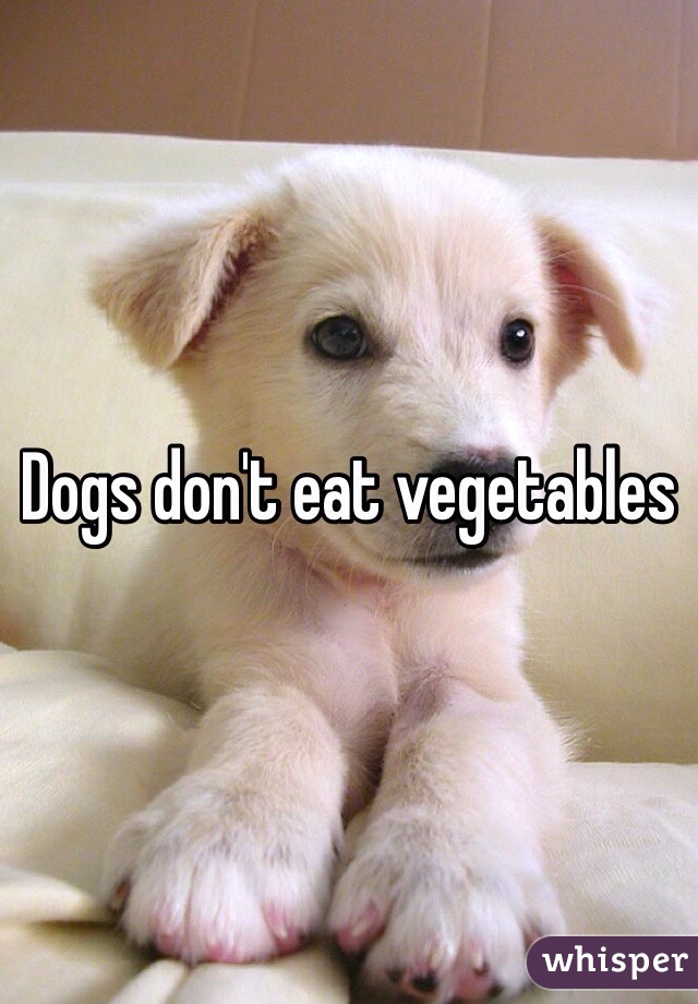 Dogs don't eat vegetables 