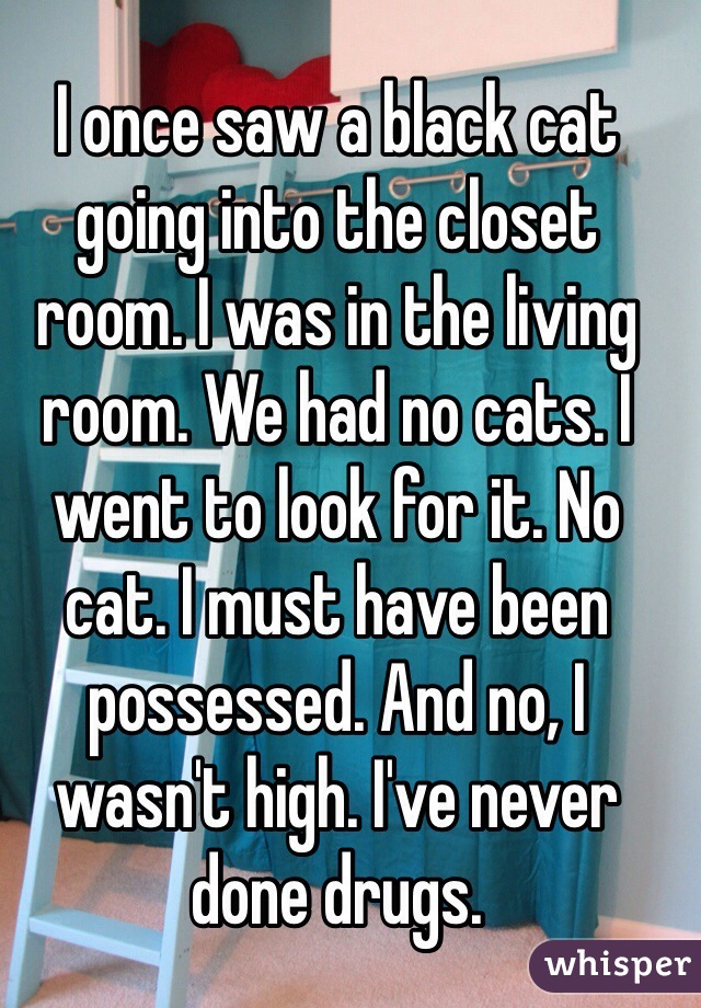 I once saw a black cat going into the closet room. I was in the living room. We had no cats. I went to look for it. No cat. I must have been possessed. And no, I wasn't high. I've never done drugs. 