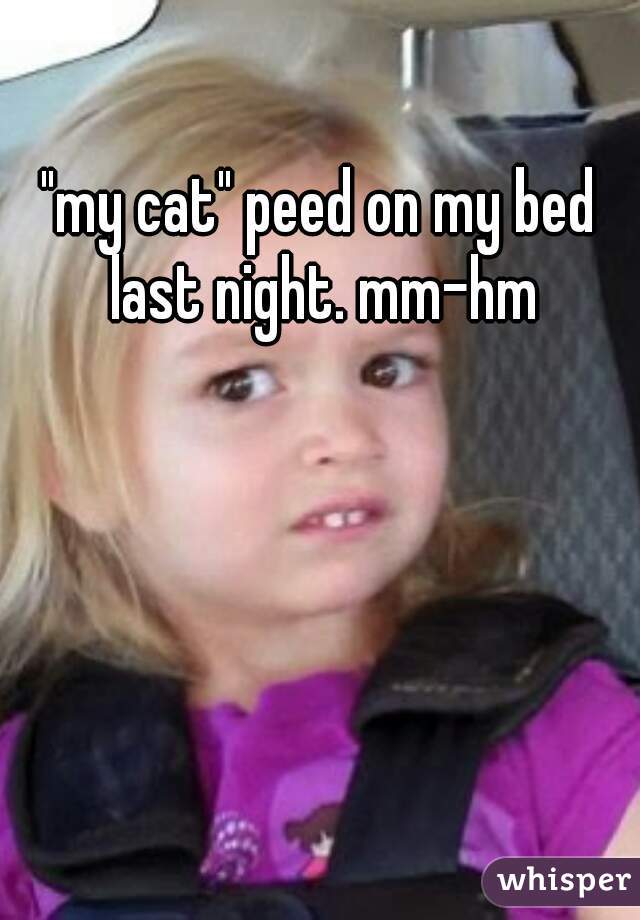 "my cat" peed on my bed last night. mm-hm