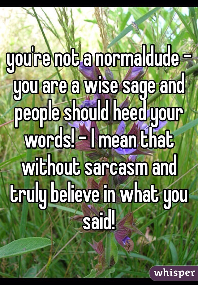 you're not a normaldude - you are a wise sage and people should heed your words! - I mean that without sarcasm and truly believe in what you said!