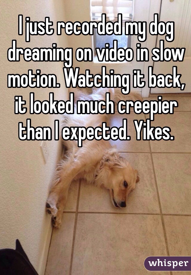 I just recorded my dog dreaming on video in slow motion. Watching it back, it looked much creepier than I expected. Yikes.