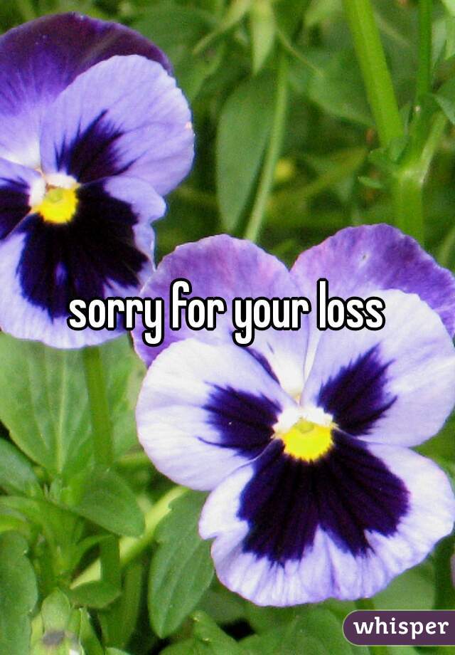 sorry for your loss