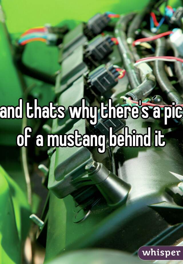 and thats why there's a pic of a mustang behind it 