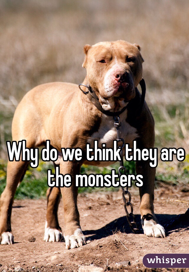 Why do we think they are the monsters