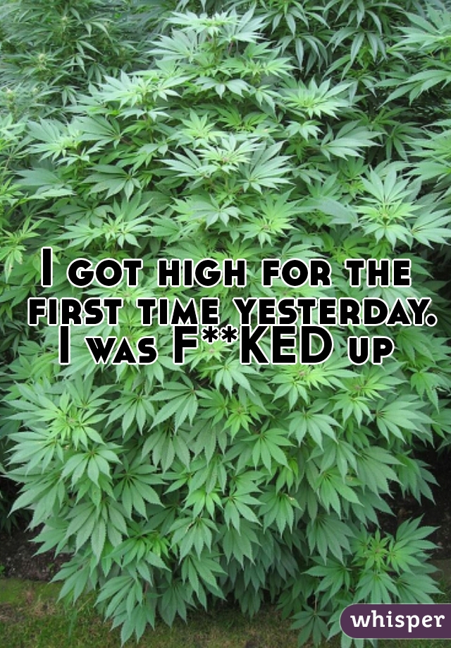 I got high for the first time yesterday. I was F**KED up 
