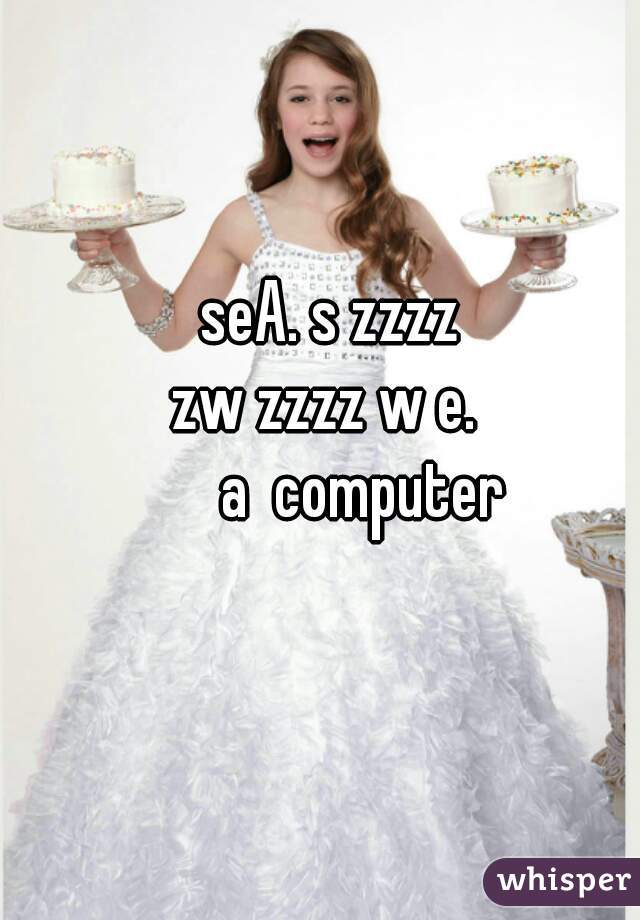 seA. s zzzz

z

zw zzzz w e. 

      a  computer 

